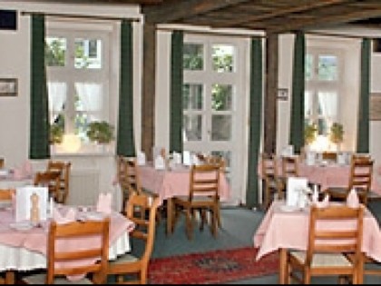 Foto: Alte Linden